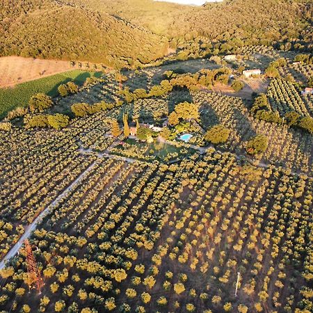 Agriturismo Podere Valdo Gavorrano Dış mekan fotoğraf