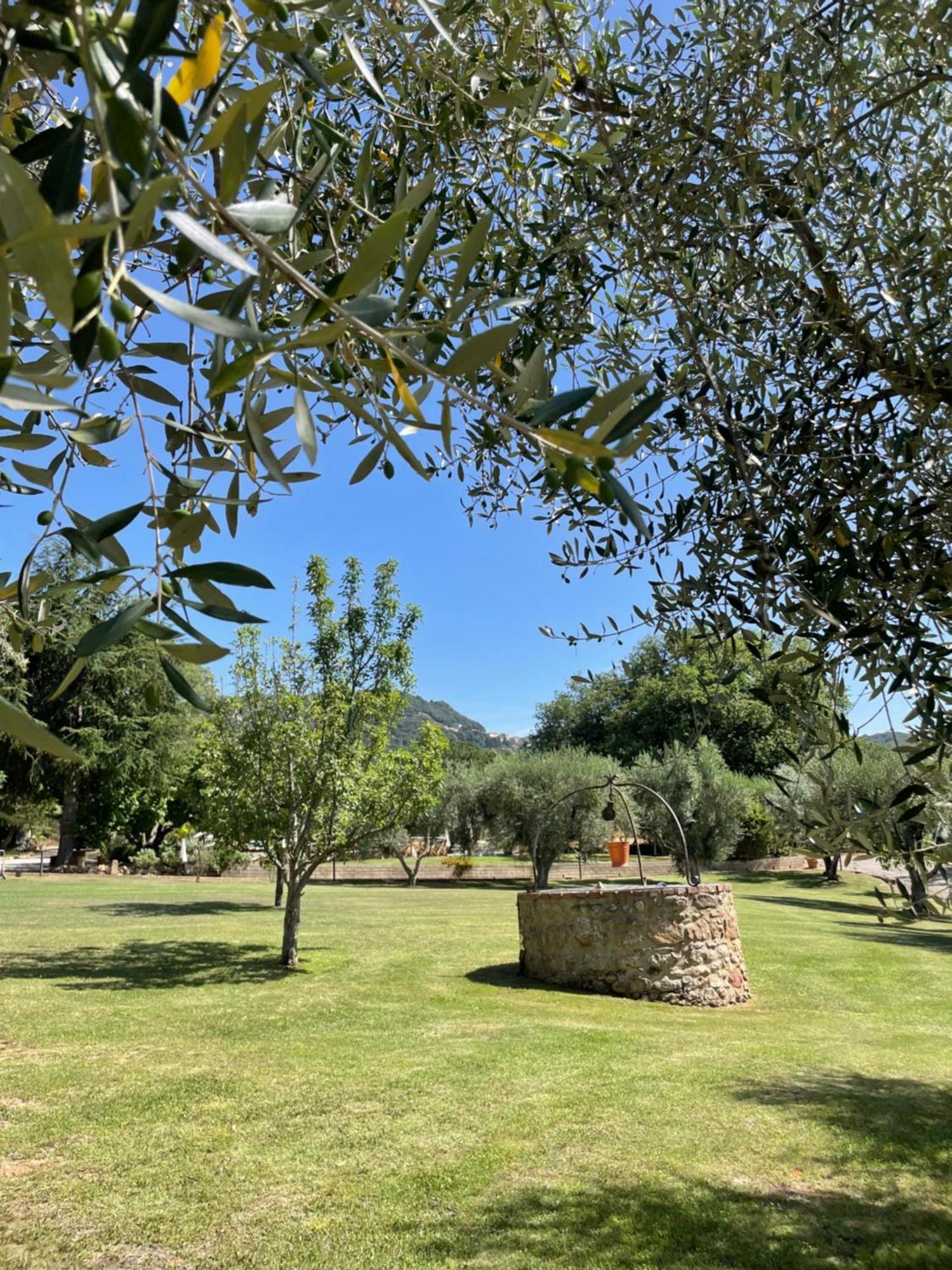 Agriturismo Podere Valdo Gavorrano Dış mekan fotoğraf