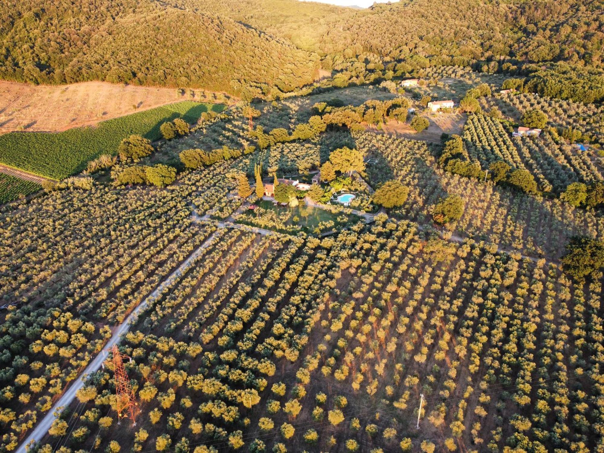 Agriturismo Podere Valdo Gavorrano Dış mekan fotoğraf