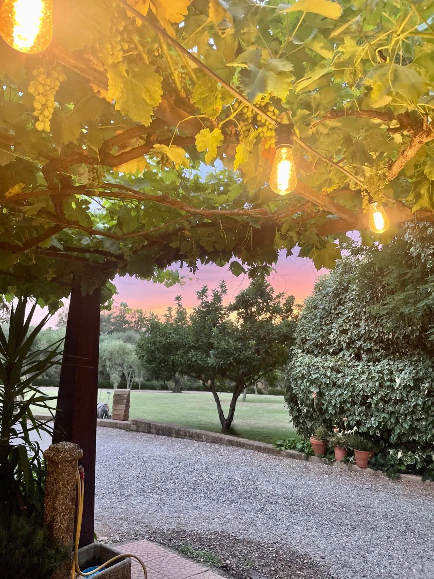 Agriturismo Podere Valdo Gavorrano Dış mekan fotoğraf
