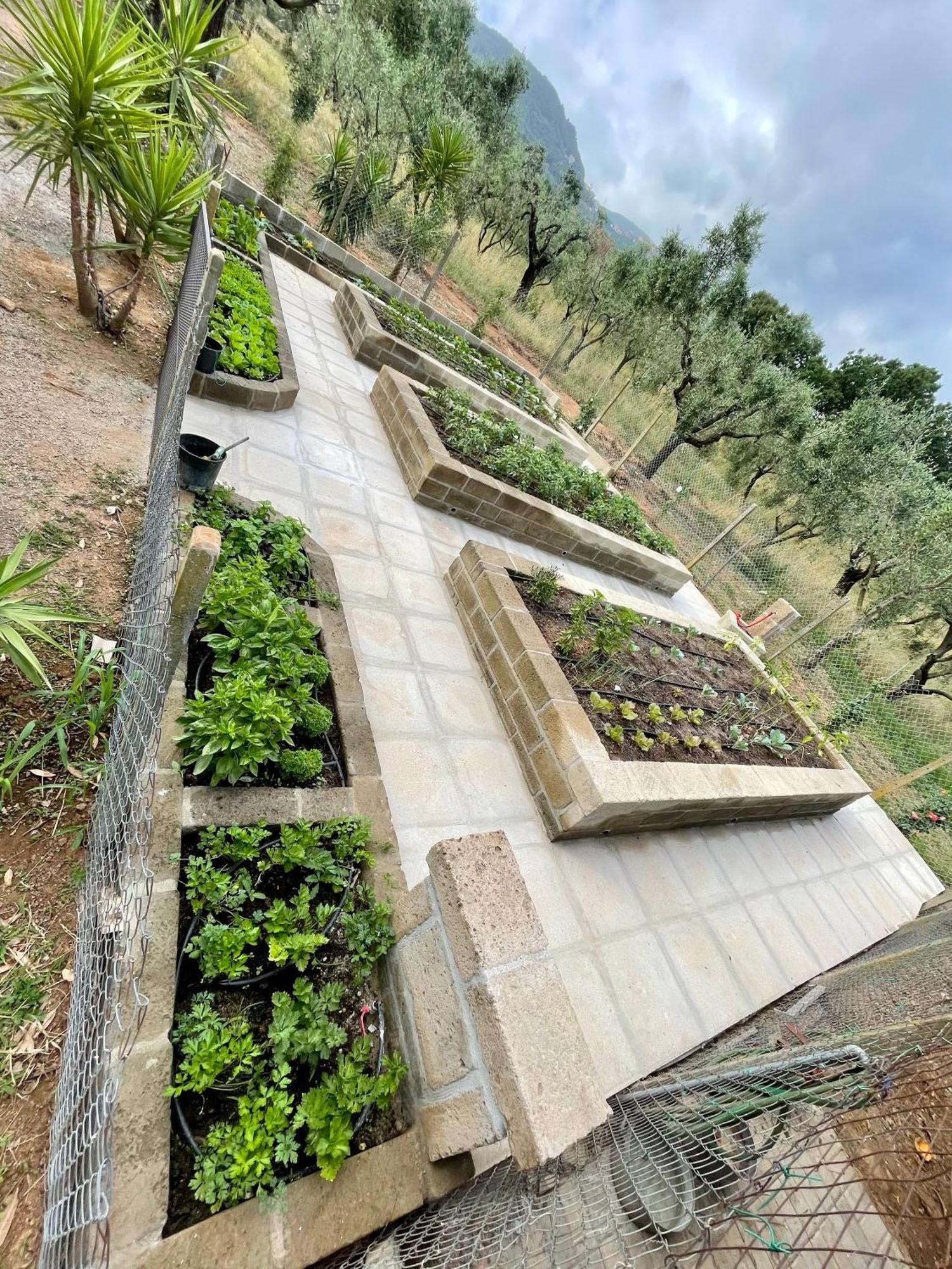 Agriturismo Podere Valdo Gavorrano Dış mekan fotoğraf