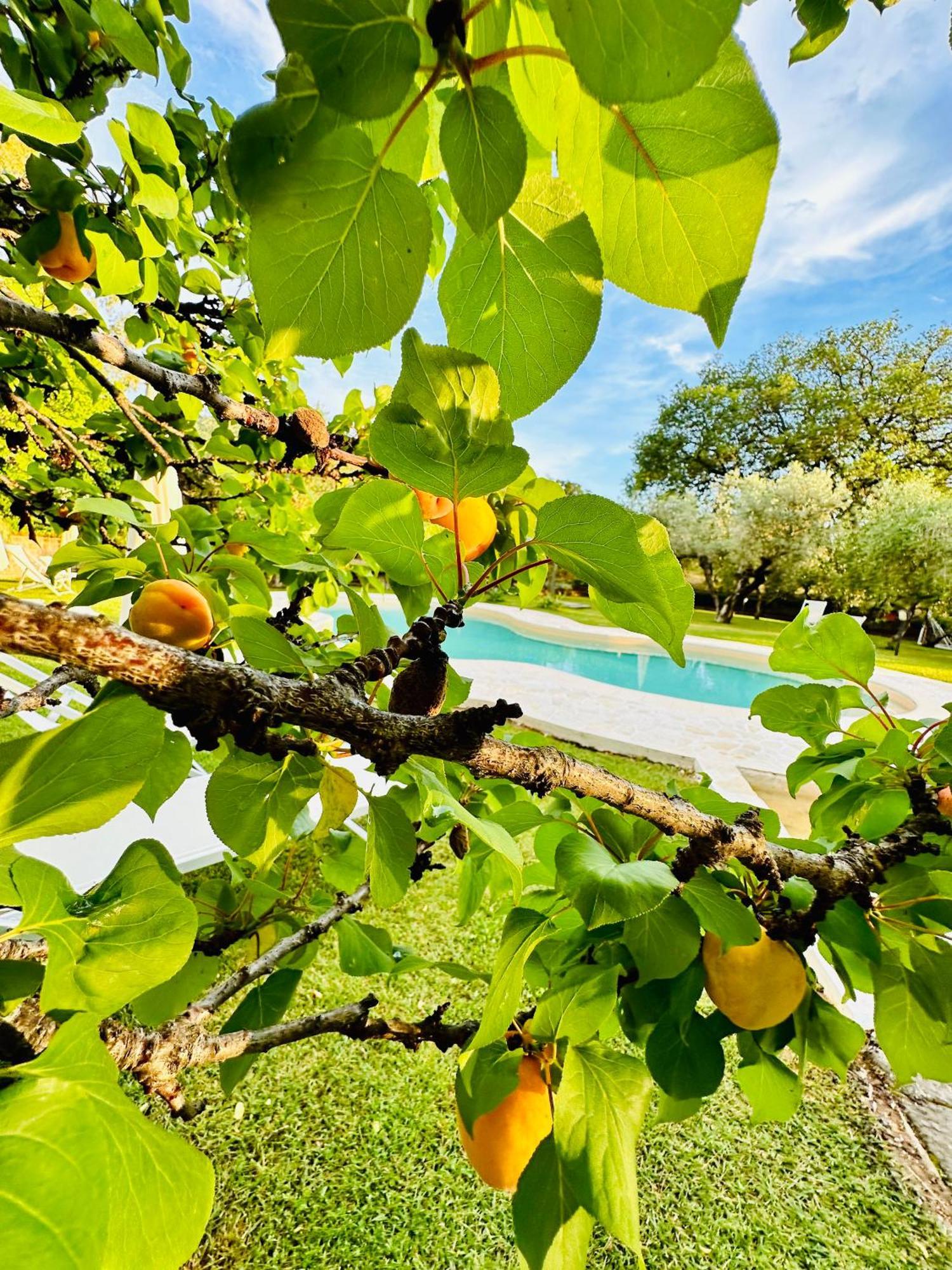 Agriturismo Podere Valdo Gavorrano Dış mekan fotoğraf