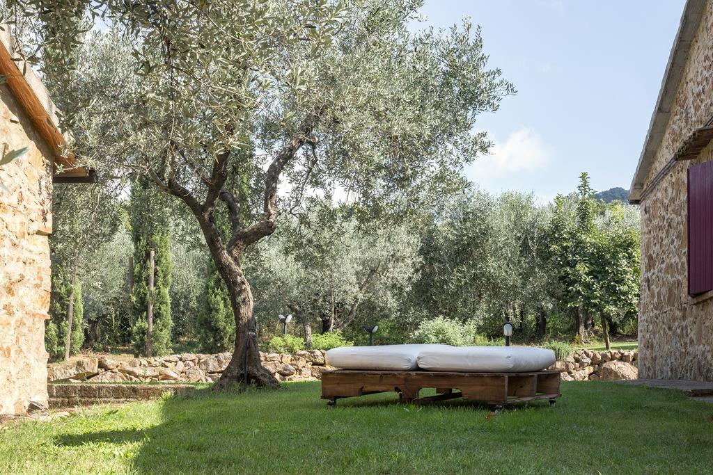 Agriturismo Podere Valdo Gavorrano Dış mekan fotoğraf