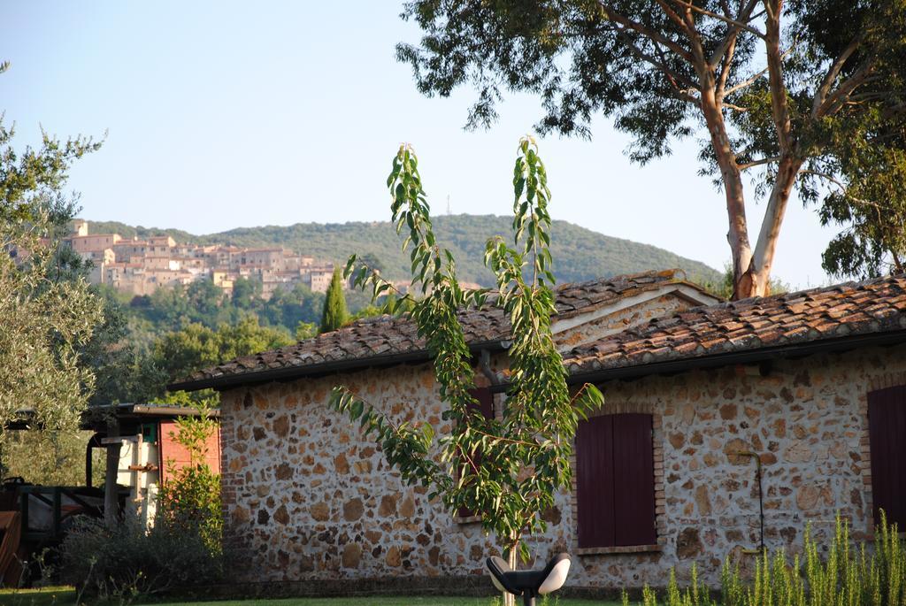 Agriturismo Podere Valdo Gavorrano Oda fotoğraf